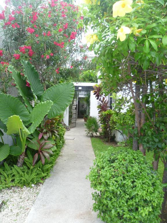 Hostal Haina Κανκούν Εξωτερικό φωτογραφία